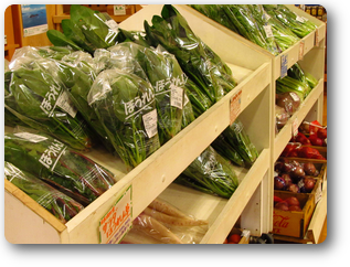 旬の野菜コーナー 旬の野菜コーナー